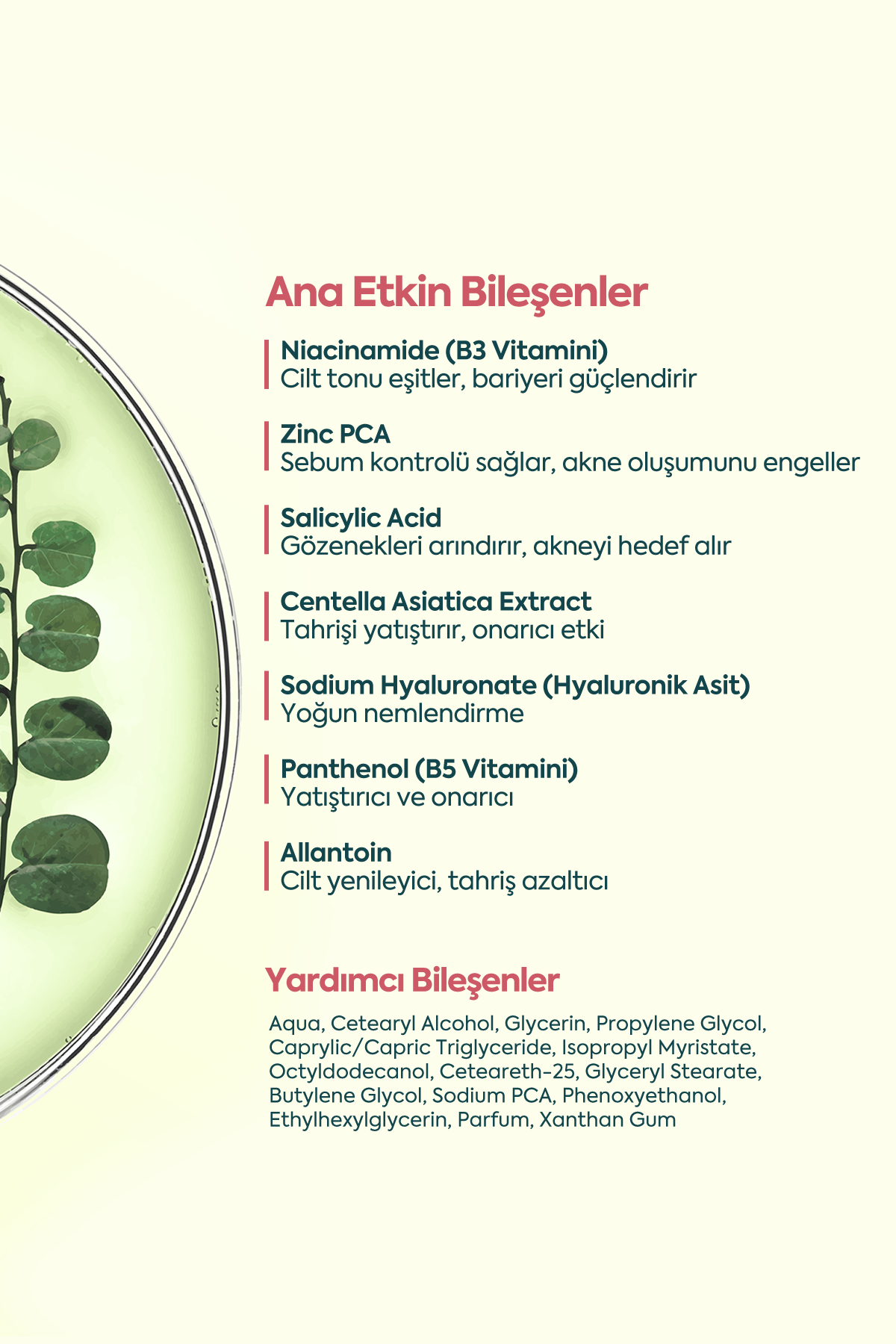 Akne ve Sivilceler için Mükemmel Etki - FACEUPSKIN® Acne Cream 40 ml